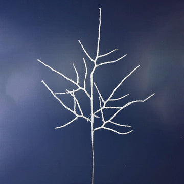 Snowy Twig Branch