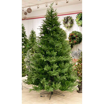 9' Fairfield Frasier Fir Tree